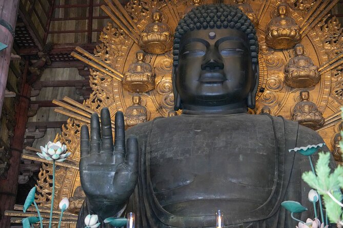 1-Day Kyoto and Nara Highlights Day Trip with a Private Car - Nara Park and the famous deer