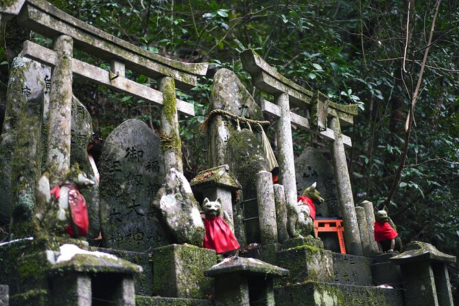1-Day Kyoto and Nara Highlights Day Trip with a Private Car - What the private car changes