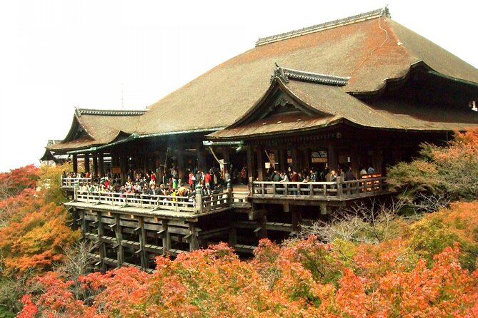 10 Must-see Spots in Kyoto One Day Private Tour (up to 7 people) - Your guide matters more than the standard route
