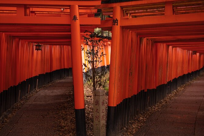 10 Must-see Spots in Kyoto One Day Private Tour (up to 7 people) - The pace, walking, and summer warning