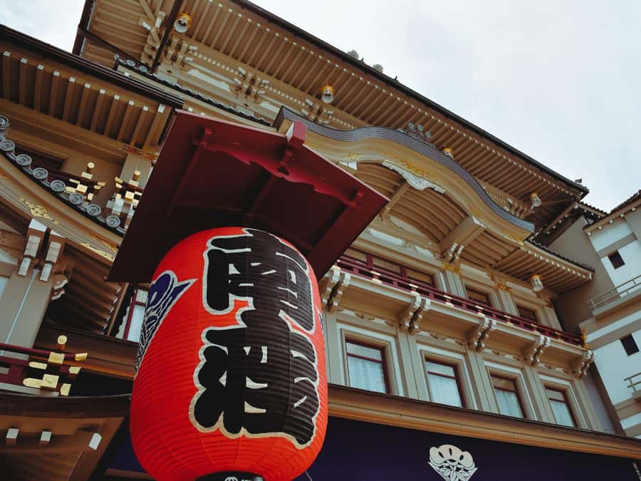 [2.3km / 1.43mi] Kyoto East Early Morning Walking Tour - What the guide adds beyond sightseeing