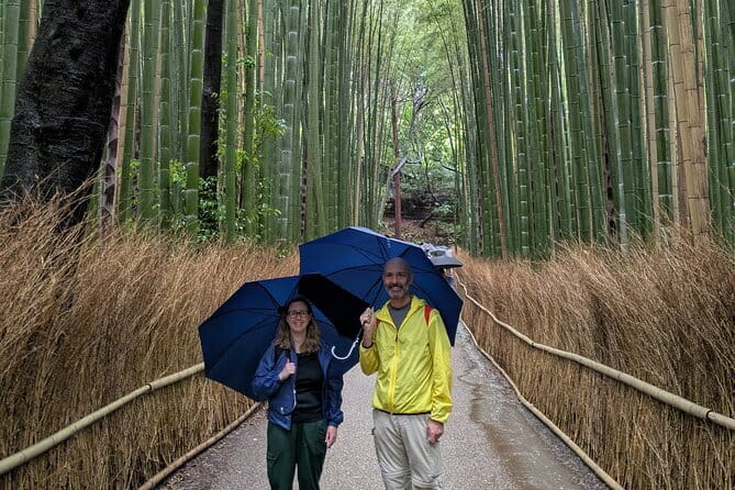 4 Hours Arashiyama and Arashiyama Monkey Park Tour - Tenryu-ji Temple and its Zen gardens