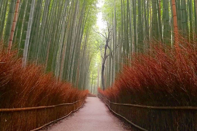 5 Top Highlights of Kyoto Full Day Bike Tour (E-bike option) - Kiyomizu-dera is the longest temple visit