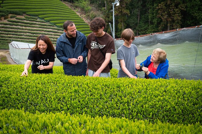 7hr Private Wazuka True Hidden Kyoto Matcha Farm Experience - Learning Tea From a Fifth-Generation Farmer