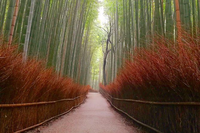 Afternoon Kyoto Bike Tour: Bamboo Forest, Monkeys & Hidden Spots - Togetsukyo Bridge and the Arashiyama view