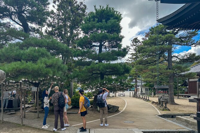 All-Inclusive Kyoto Day Tour: Amanohashidate, Miyama or Ohara - Key points to know before booking