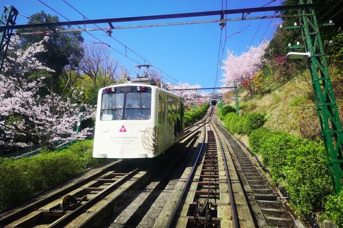 Amanohashidate & Miyama 1-Day Bus Tour: From Osaka/Kyoto w/ Lunch - A 12-minute cruise across Miyazu Bay