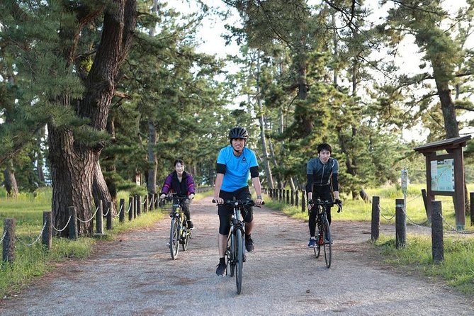 Amanohashidate Sand bar & culture e-bike tour - Chion-ji and the Sandbar Ride