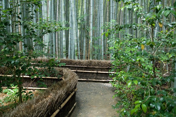 Arashiyama Bamboo Forest E-Biking Tour - Why this Kyoto bike tour covers more than bamboo