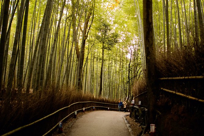 Arashiyama Bamboo Forest E-Biking Tour - Otagi Nenbutsu-ji and its 1,200 expressive statues