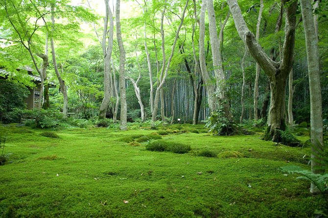 Arashiyama Bamboo Forest E-Biking Tour - Tōji-in Temple for moss, quiet, and reflection