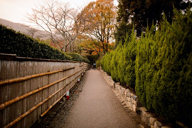 Arashiyama Bamboo Forest E-Biking Tour - Arashiyama Bamboo Forest, with a realistic time expectation