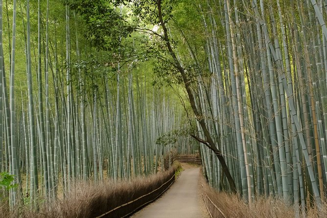 Arashiyama Bamboo Forest E-Biking Tour - The countryside riding is the real payoff