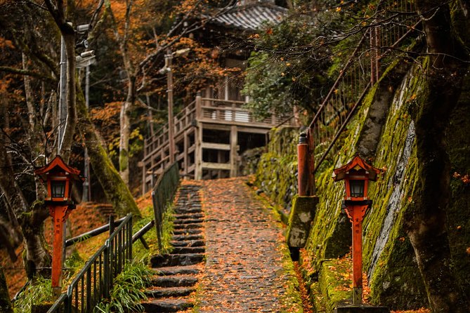 Arashiyama Bamboo Forest E-Biking Tour - Guides who shape the afternoon