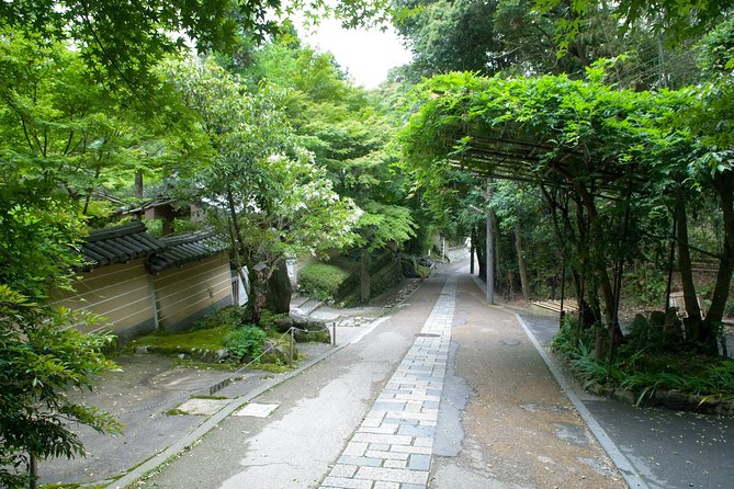Arashiyama Bamboo Forest E-Biking Tour - What the electric bikes change