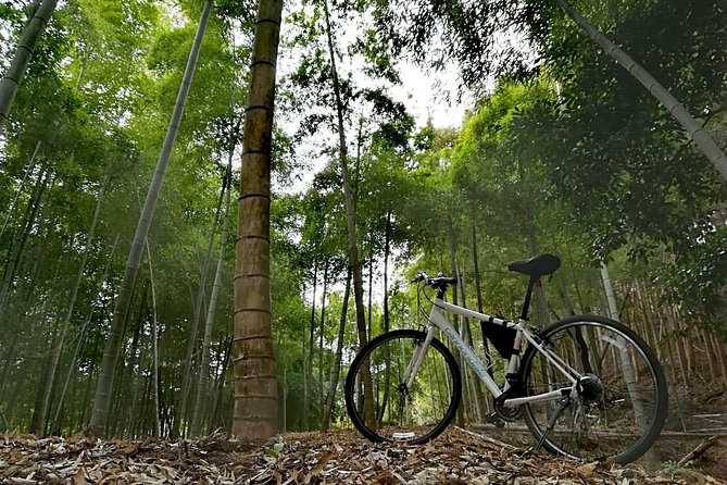 Arashiyama Bamboo Forest & Hidden Gems Bike Tour (Early Bird) - Togetsukyo Bridge Closes the Morning Well