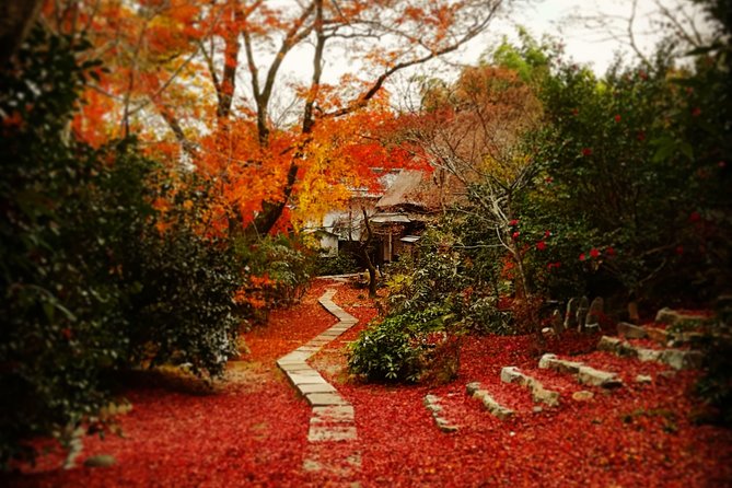 Arashiyama Bamboo Forest & Hidden Gems Bike Tour (Early Bird) - Families, Fitness, and Practical Limits