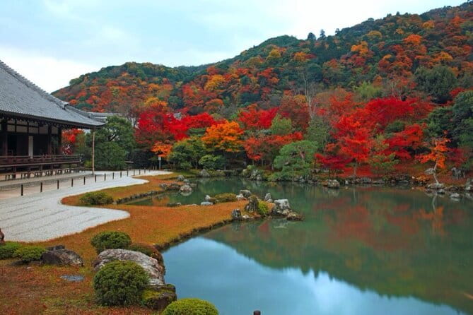 Arashiyama Bamboo & "Must See" Gardens with an Amazing Guide - Choosing Monkey Park instead