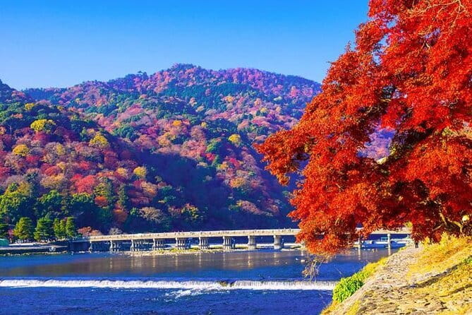 Arashiyama Bamboo & "Must See" Gardens with an Amazing Guide - Walking through the Arashiyama Bamboo Forest