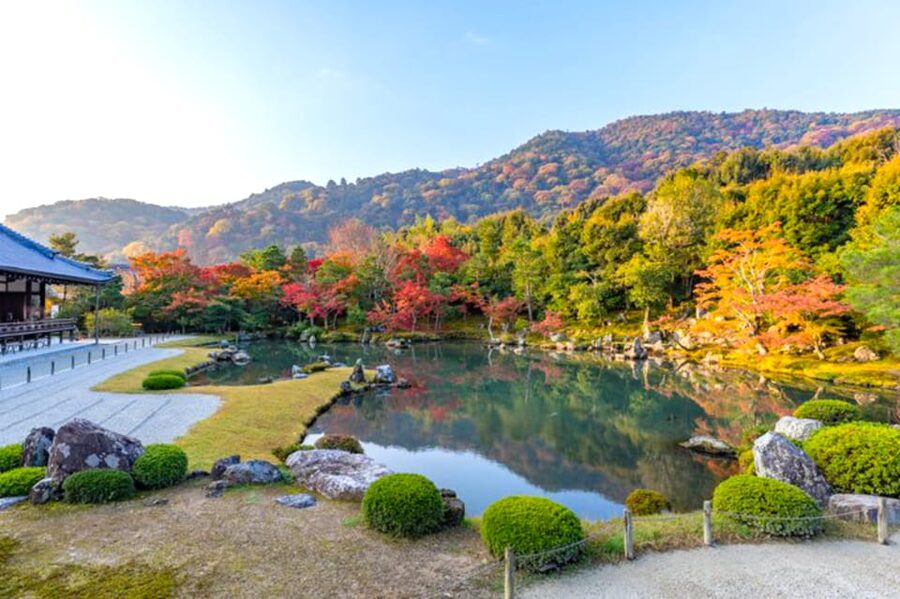 Arashiyama Bamboo, Temple, Monkeys, or Secret Sake Brewery - The alternate route with local lunch and sake