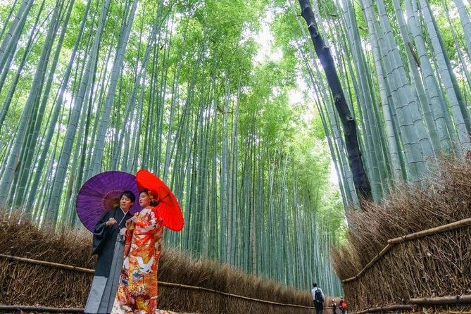 Arashiyama from Kyoto: Private & Personalized with a Local Guide - The Bamboo Grove: Beautiful, Famous, and Often Crowded