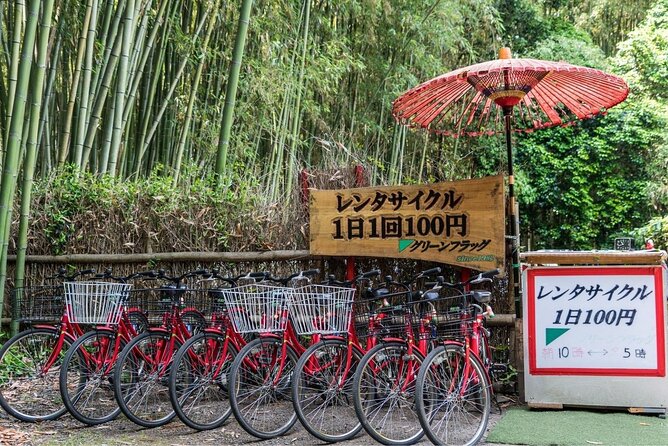 Arashiyama from Kyoto: Private & Personalized with a Local Guide - Monkey Park Iwatayama Requires Serious Legs