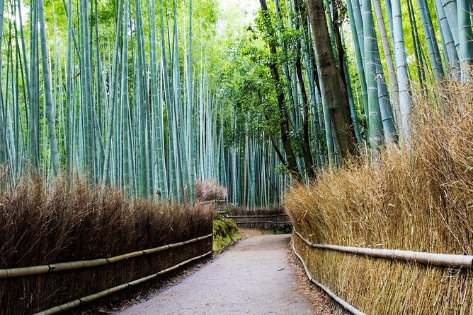 Arashiyama from Kyoto: Private & Personalized with a Local Guide - The Quirkier Temple Stops