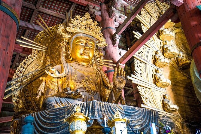 Arashiyama & Nara Highlights: One-Day Private Tour Adventure - Feeding deer in Nara Park