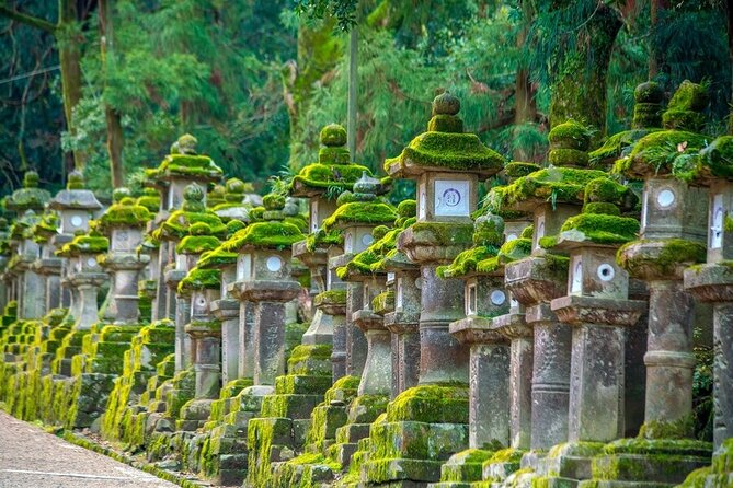 Arashiyama & Nara Highlights: One-Day Private Tour Adventure - Todaiji’s Great Buddha Hall