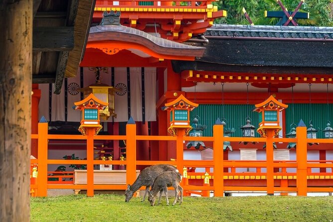 Arashiyama & Nara Highlights: One-Day Private Tour Adventure - Kasuga Grand Shrine and its lanterns