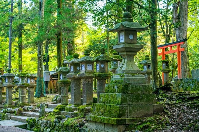 Arashiyama & Nara Highlights: One-Day Private Tour Adventure - What the private guide adds