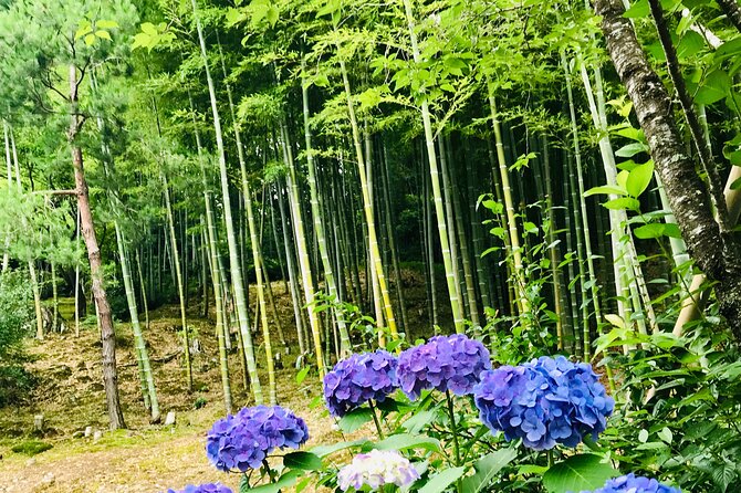 Bamboo LED Lantern Making Experience in Kyoto Arashiyama - Is $79.26 a fair price?