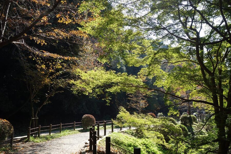 Best of Kyoto: Ginkakuji & Path of Philosophy E-Bike Tour - Why an e-bike is a smart way to see Kyoto