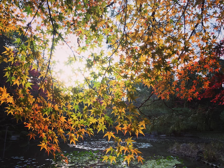 Best of Kyoto: Ginkakuji & Path of Philosophy E-Bike Tour - Philosopher’s Path: beautiful, but time can feel short