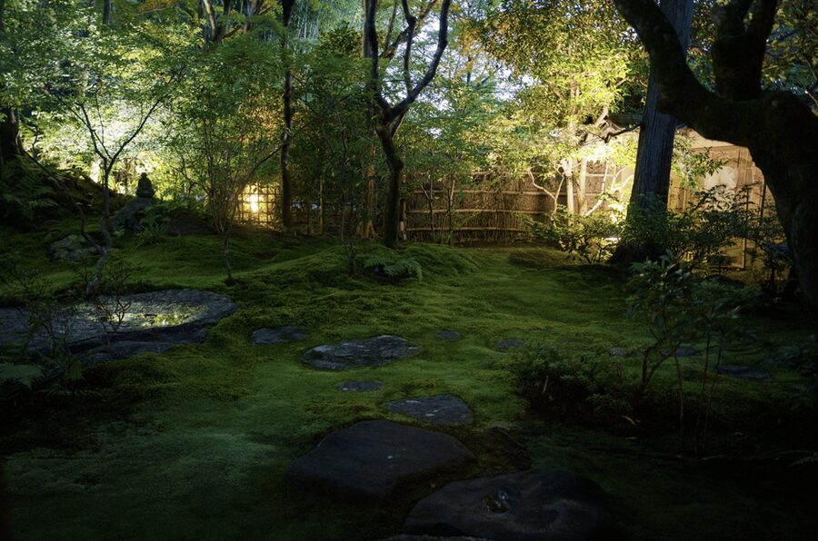 Candlelit Zen: Evening Meditation at Kyoto’s Secret Temple - Who will get the most from this experience