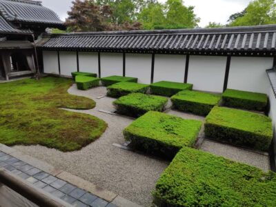 Craig’s Kyoto Private Luxury Alphard Tour / The Early Riser