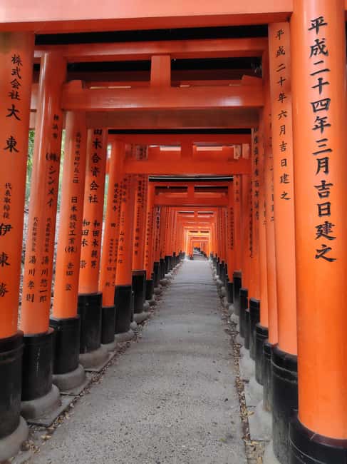 Craig's Kyoto Private Luxury Alphard Tour / The Early Riser - What Craig adds beyond transportation