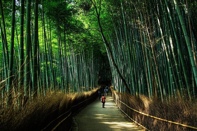 Customized Private Kyoto Tour by a local tour guide - Fushimi Inari and its thousand red gates