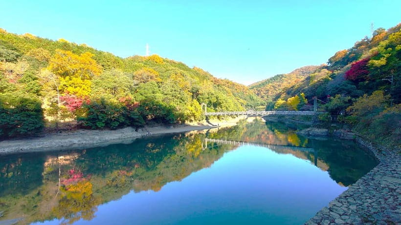 Cycling Tour at Uji's Matcha Green Tea Fields and Heritage - Key points to know before booking
