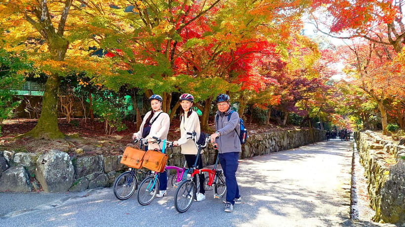 Cycling Tour at Uji's Matcha Green Tea Fields and Heritage - Why cycling gives you a better look at Uji