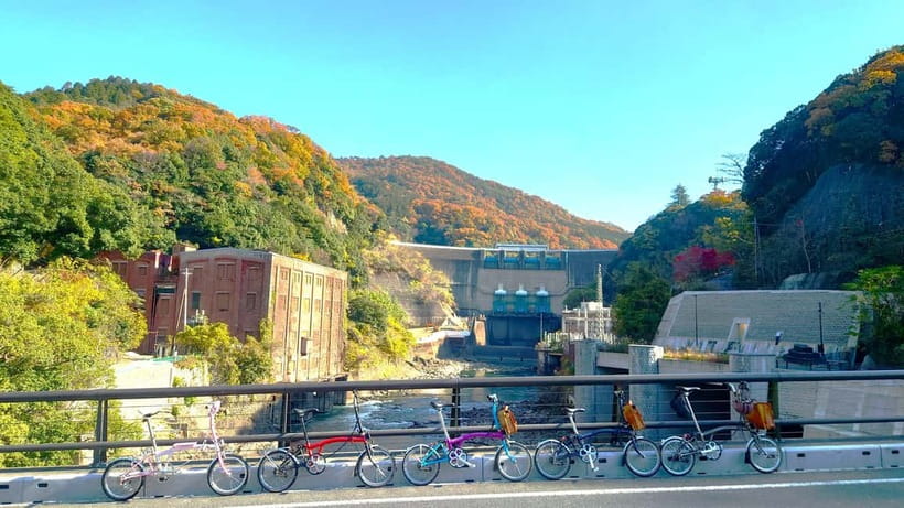 Cycling Tour at Uji's Matcha Green Tea Fields and Heritage - What the $160 price covers