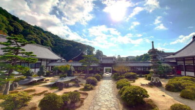 Cycling Tour at Uji’s Matcha Green Tea Fields and Heritage