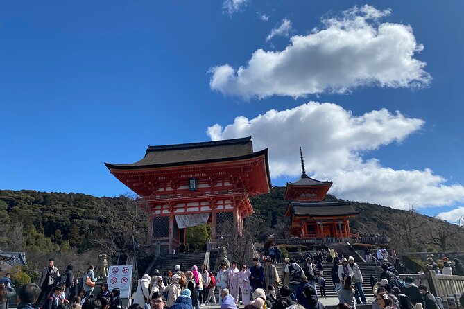 Discover the Secrets of Fushimi Inari and Gion with a Local Guide - What the small group changes