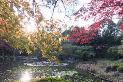 E-Bike Tours of the highlights of Kyoto!!!