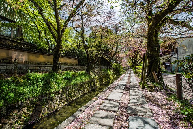 Early Bird E-biking through East Kyoto - Ginkakuji, lunch, and the Silver Pavilion setting