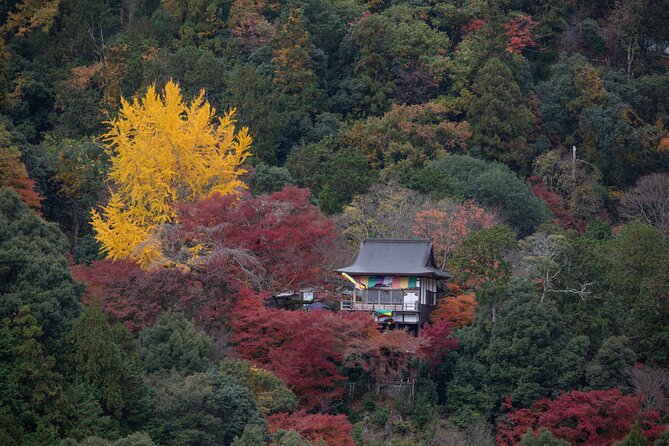 Explore Arashiyama Bamboo Forest with Authentic Zen Experience - Key points to know before you book
