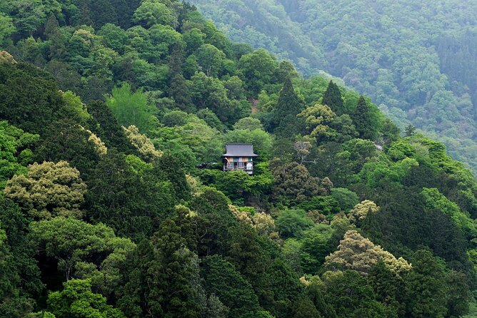 Explore Arashiyama Bamboo Forest with Authentic Zen Experience - Finishing at Kimono Forest and the Randen station