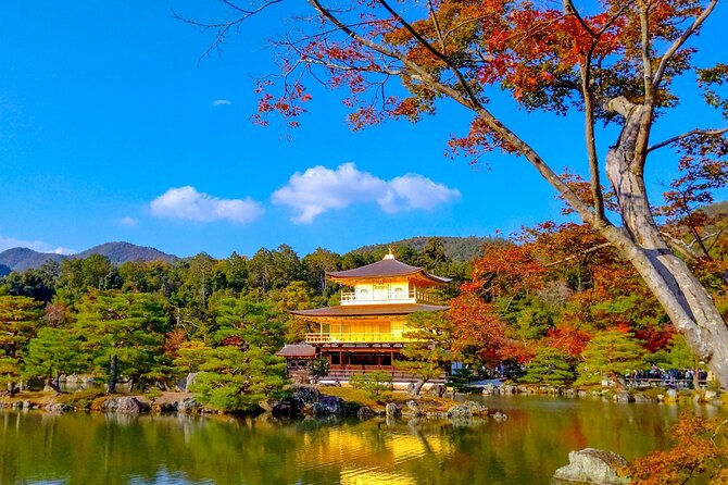 Explore Kyoto | Private Tour - Local English Driver(guide option) - Flexible planning, with limits