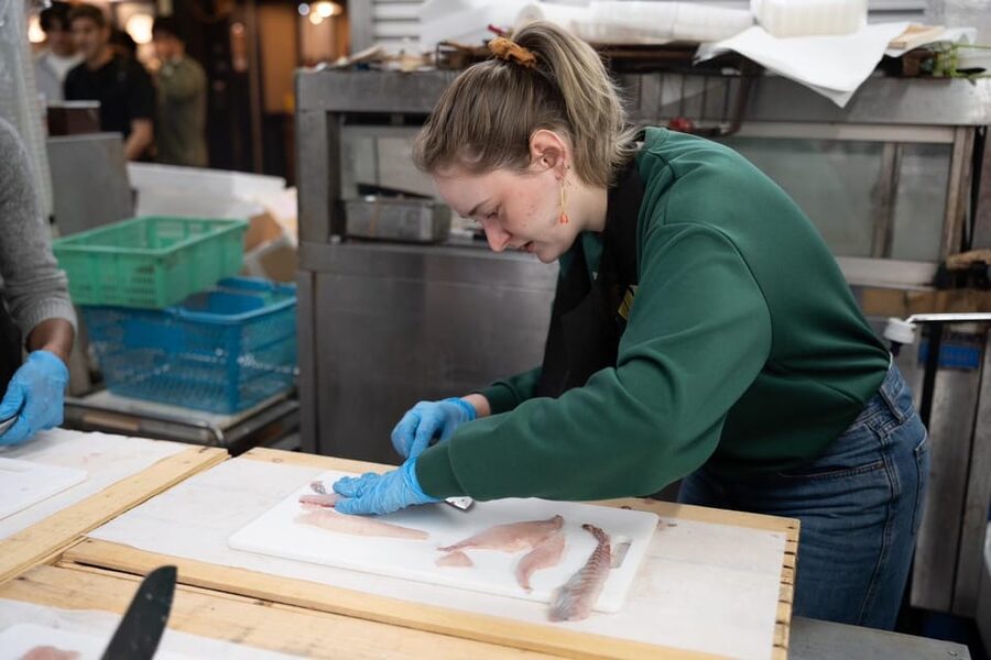 Fish cutting class - What $77 includes and what it does not