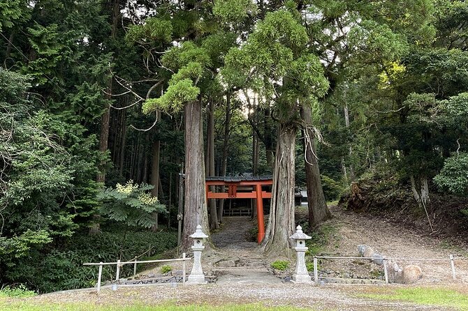 From Bamboo to Hidden Shrines: Kyoto’s Private Escape Tour by Car - What the private car adds to the day